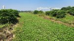 অস্তিত্ব সংকটে ময়নাকাটা নদী