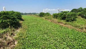 অস্তিত্ব সংকটে ময়নাকাটা নদী