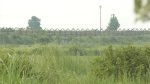 নওগাঁ সীমান্তে ৭ জনকে পুশইনের চেষ্টা 