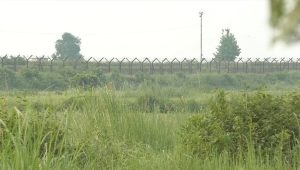 নওগাঁ সীমান্তে ৭ জনকে পুশইনের চেষ্টা 