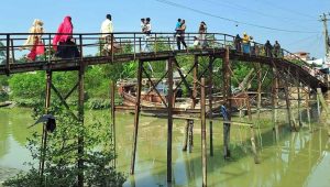 বাগেরহাটে কাঠের পুলে দুলছে মানুষের জীবন
