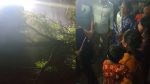 কুষ্টিয়ায় সড়কে গাছ ফেলে ডাকাতি 