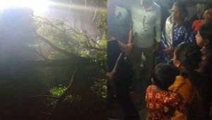 কুষ্টিয়ায় সড়কে গাছ ফেলে ডাকাতি 