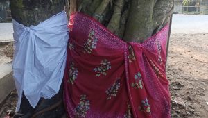 স্বপ্ন দেখে বট-পাকুড়ের বিয়ে, ১৬ বছর ধরে সংসার