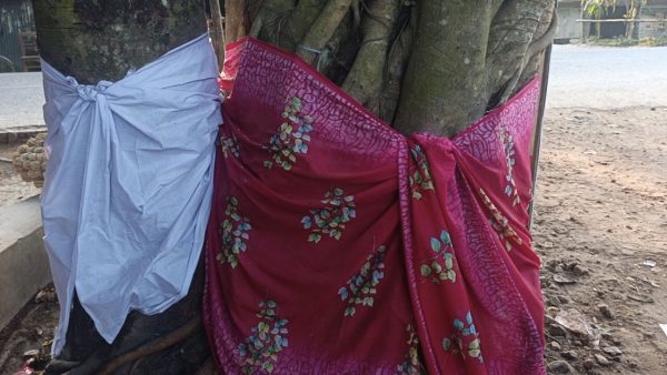 স্বপ্ন দেখে বট-পাকুড়ের বিয়ে, ১৬ বছর ধরে সংসার