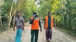 সুন্দরবনে নদী সাঁতরে লোকালয়ে বাঘ, এলাকায় আতঙ্ক