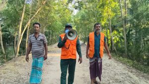সুন্দরবনে নদী সাঁতরে লোকালয়ে বাঘ, এলাকায় আতঙ্ক