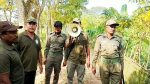 শরণখোলায় বাঘ আতঙ্ক, ড্রোন উড়িয়ে চলছে সন্ধান