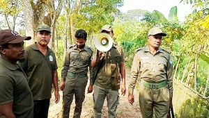 শরণখোলায় বাঘ আতঙ্ক, ড্রোন উড়িয়ে চলছে সন্ধান