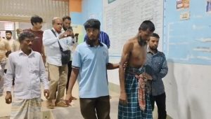 লালমনিরহাট সীমান্তে বাঘের হামলায় ৩ বাংলাদেশি আহত
